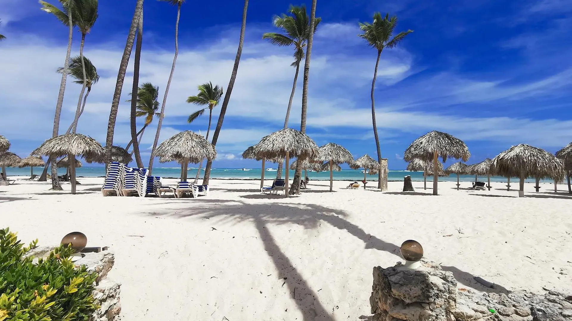 *****  Beach Villas & Apartments Long Term Vacation Hotel Bavaro Beach Club & Spa 蓬塔卡纳 多米尼加共和国